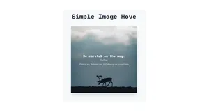 Image Hover Effects - Tailwind Component