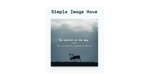 Image Hover Effects - Tailwind Component